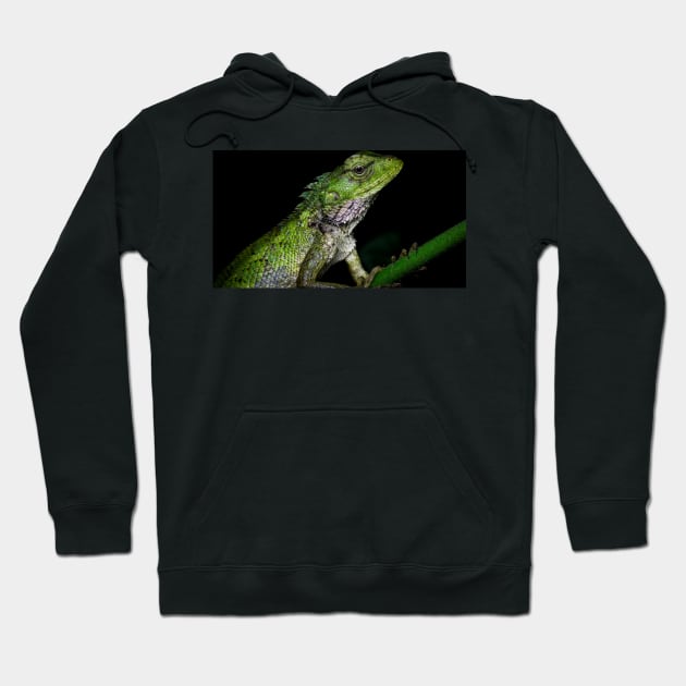 A close up of a changeable lizard (Calotes versicolor) Hoodie by AvonPerception